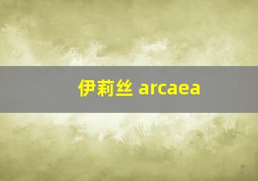 伊莉丝 arcaea